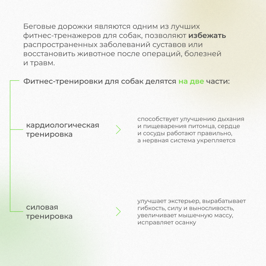 2.png 2.png