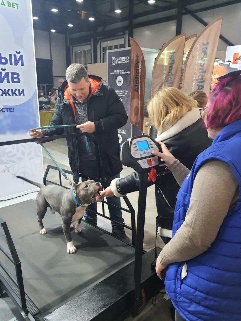 dOG3W3GVTwA.jpg dOG3W3GVTwA.jpg
