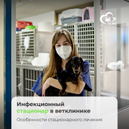 Организация инфекционных стационаров в ветеринарной клинике