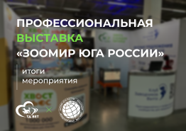 «Зоомир Юга России» в Краснодаре 11-12 марта. Итоги