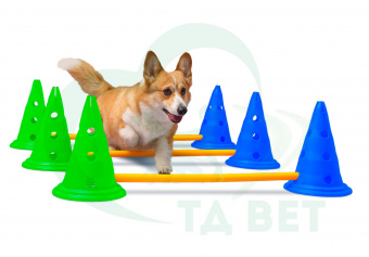 ТД ВЕТ Набор для кавалетти, 3 снаряда, 1310х300х510h