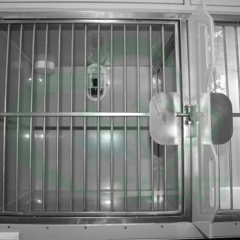 ТД ВЕТ Модуль 18 клеток из полипропилена с ИК подогревом и системой хранения из ЛДСП  3500х600х2520(2680)h с колесами