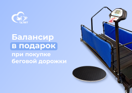 Акция: Подарок при покупке беговой дорожки
