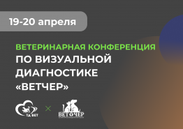 ВЕТЧЕР - ветеринарная конференция по визуальной диагностике 19-20 апреля. Итоги
