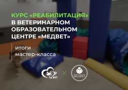Реабилитация. Базовый курс в ветеринарном образовательном центре "МЕДВЕТ" 20-22 июля. Итоги
