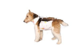 ТД ВЕТ Попона послеоперационная №2 для собак, фланель