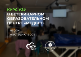 Курс УЗИ в ветеринарном образовательном центре "МЕДВЕТ" 16-22 мая. Итоги