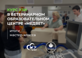Курс УЗИ в ветеринарном образовательном центре "МЕДВЕТ" 28-30 июня. Итоги