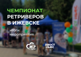 Чемпионат ретриверов в Ижевске. Итоги