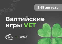 Валтийские игры VET - испытай свою удачу!