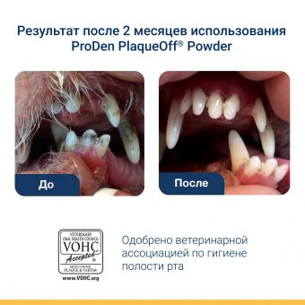 ProDen PlaqueOff средство для профилактики зубного камня у собак и кошек  40 г