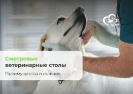 Смотровые ветеринарные столы