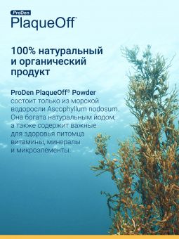 ProDen PlaqueOff средство для профилактики зубного камня у собак и кошек  40 г