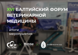 XVI «Балтийский форум ветеринарной медицины» 17-18 ноября 2022 года. Итоги