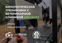 Кинологическая тренировка с ветеринарной клиникой VolyaVet